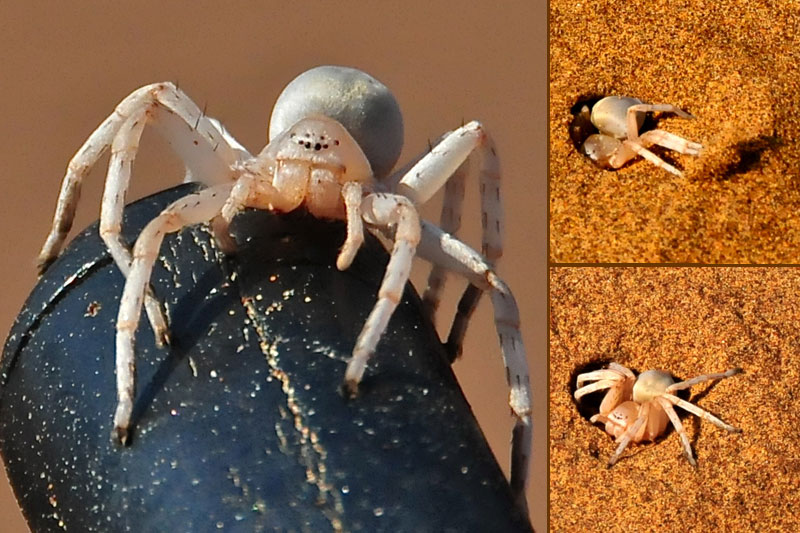 Namibia